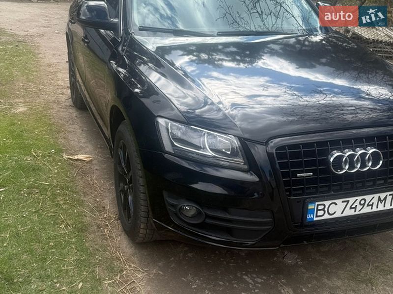 Audi Q5 2010