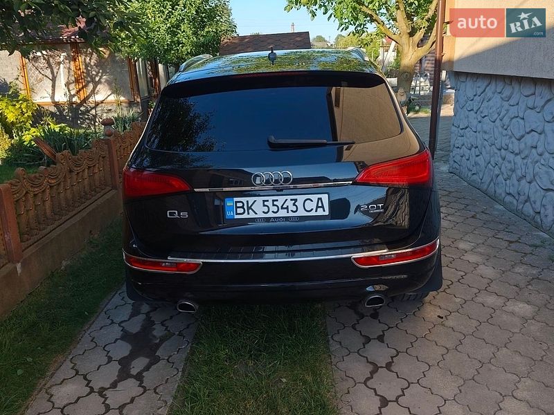 Audi Q5 2013